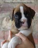 Tanyati A Litter