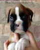 Tanyati A Litter