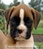 Tanyati A Litter