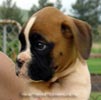 Tanyati A Litter