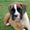 Tanyati A Litter