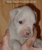 Tanyati A Litter
