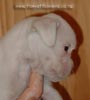 Tanyati A Litter