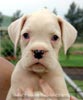 Tanyati A Litter