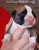 Tanyati A Litter
