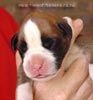 Tanyati A Litter
