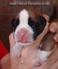 Tanyati A Litter