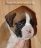 Tanyati A Litter
