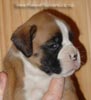Tanyati A Litter