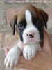 Tanyati A Litter