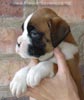 Tanyati A Litter