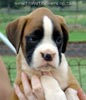 Tanyati A Litter