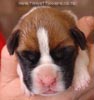Tanyati A Litter