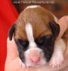 Tanyati A Litter