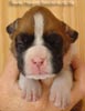 Tanyati A Litter