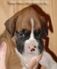 Tanyati A Litter