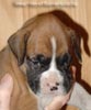 Tanyati A Litter