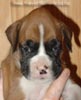 Tanyati A Litter