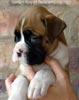 Tanyati A Litter