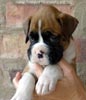 Tanyati A Litter