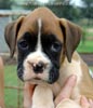 Tanyati A Litter