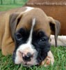 Tanyati A Litter