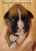Tanyati A Litter