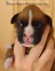 Tanyati A Litter