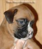 Tanyati A Litter