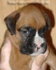 Tanyati A Litter
