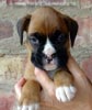 Tanyati A Litter