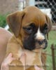 Tanyati A Litter