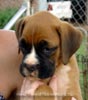 Tanyati A Litter