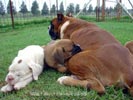 Tanyati A Litter