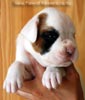 Tanyati B Litter