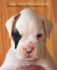 Tanyati B Litter