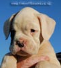 Tanyati B Litter