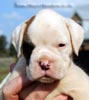 Tanyati B Litter