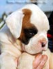 Tanyati B Litter