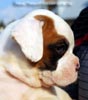 Tanyati B Litter