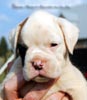 Tanyati B Litter