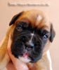 Tanyati B Litter