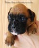 Tanyati B Litter