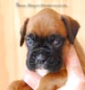 Tanyati B Litter