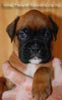 Tanyati B Litter