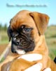 Tanyati B Litter