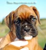 Tanyati B Litter