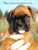 Tanyati B Litter