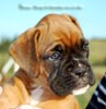 Tanyati B Litter