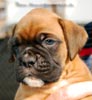 Tanyati B Litter